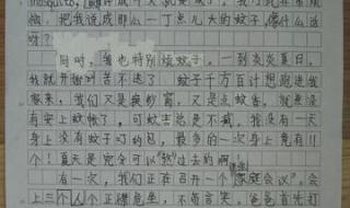 捉蚊趣事400字满分作文