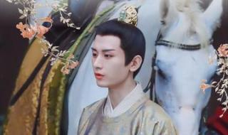 与君歌在哪个平台播出