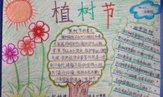 植树节手抄报图片大全