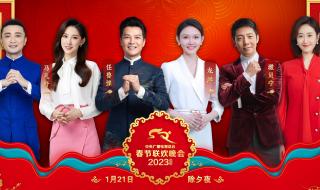 于蕾拟任视春晚总导演