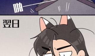 二哈和他的白猫师尊漫画