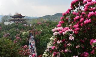 贵州旅游必去景点攻略