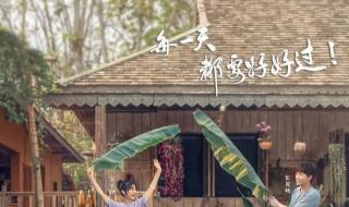 向往的生活4免费完整版