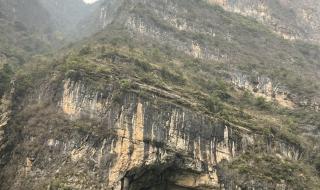 长江黄金6号游轮价格