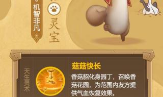 庆余年怎么有两个版本
