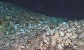 我国首次在南海千米级海底发现古船遗址 我国南海发现两处古代沉船