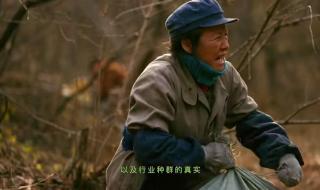 年代剧《父辈的荣耀》开播