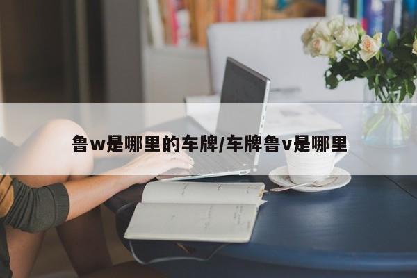 鲁w是哪里的车牌/车牌鲁v是哪里